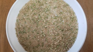 中粒米・無農薬玄米5kg